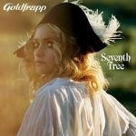 Seventh Tree Seventh Tree